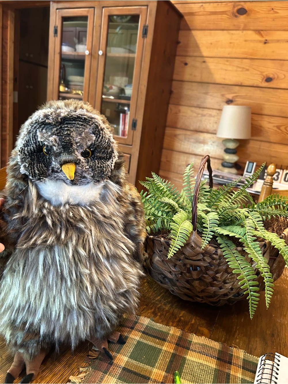 FOLKMANIS Hooting Owl (Great Gray Owl) Hand Puppet
